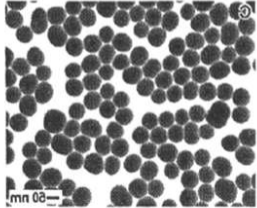 CS@Fe3O4 nanoparticles（200nm）   壳聚糖修饰四氧化三铁纳米颗粒（200nm）