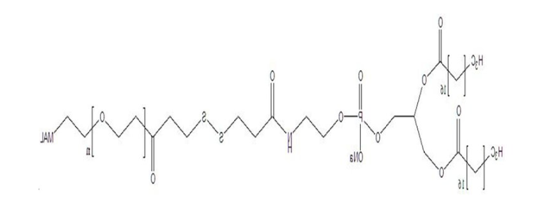 DSPE-SS-PEG2000-MAL 二硬脂酰基磷脂酰乙醇胺-SS-聚乙二醇-马来酰亚胺 DSPE-SS-PEG-MAL的应用介绍