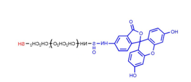 荧光素-聚乙二醇-巯基,FITC-PEG-SH,Fluoresein-PEG-Thiol,荧光素PEG巯基的结构式