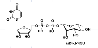 cas1955-26-6，UDP-L-Rhamnose