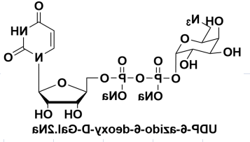 UDP-6-N3-Galactose UDP-6-N3-Galactose