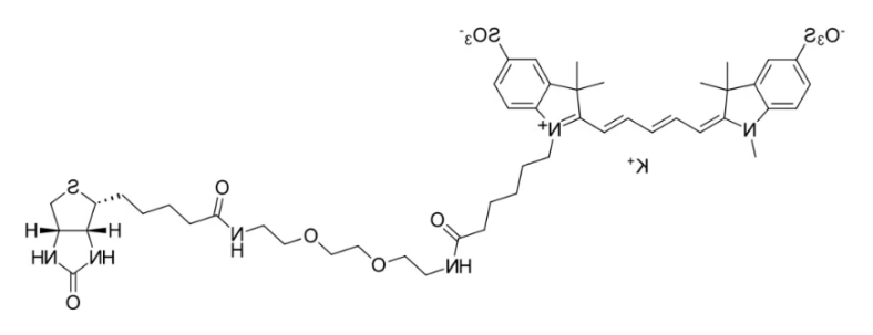 Sulfo-Cyanine5-PEG3-Biotin