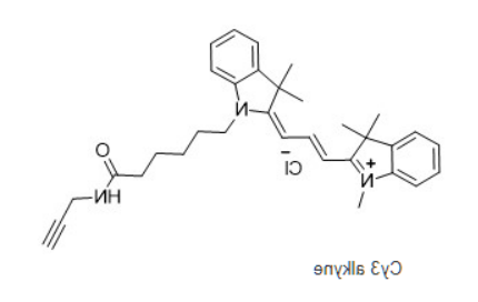 Cy3 alkyne