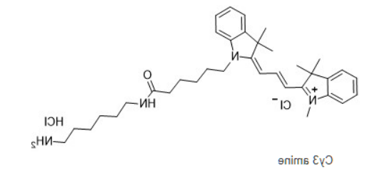 Cyanine3 amine