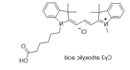 Cy3 carboxylic acid