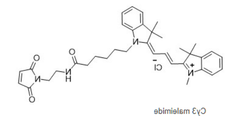 Cyanine3 maleimide