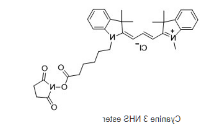 Cyanine3 NHS ester