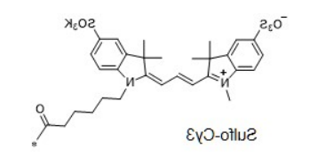 Sulfo-Cyanine3