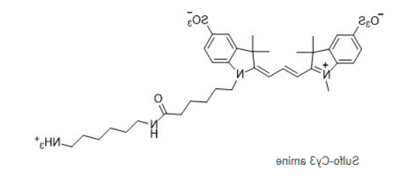 Sulfo-Cy3 amine