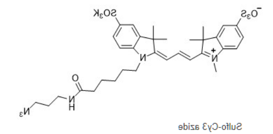 Sulfo-Cy3 Azide