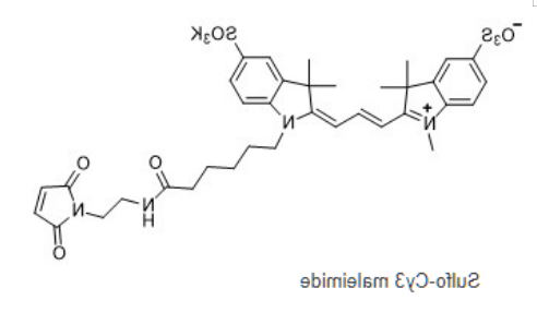 Sulfo-Cy3 maleimide