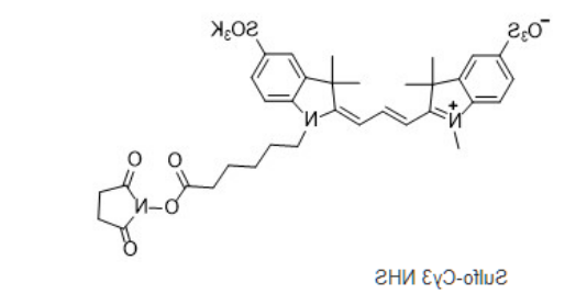 sulfo-Cy3-NHS sulfo-Cy3-NHS
