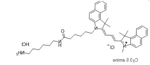 Cy3.5-amine Cy3.5-amine