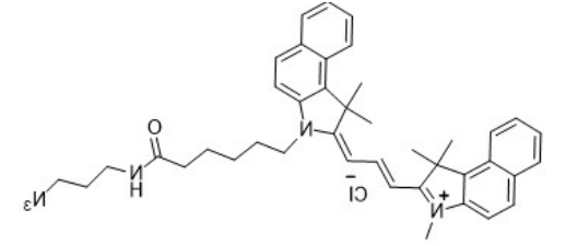 Cy3.5-azide