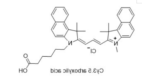 Cy3.5 carboxylic acid
