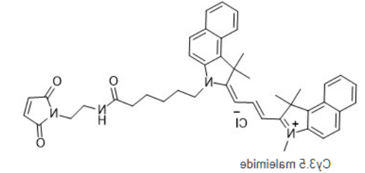 Cy3.5-maleimide