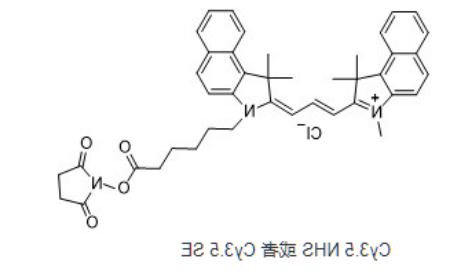 Cy3.5-NHS ester