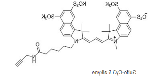 Sulfo-Cyanine3.5 alkyne