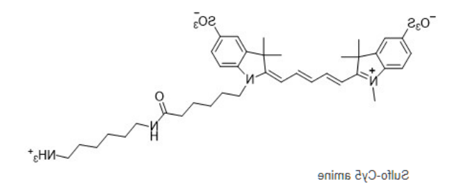 Sulfo-Cy5 amine