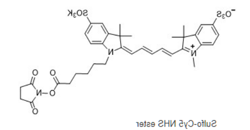 Sulfo-Cyanine5 NHS ester 