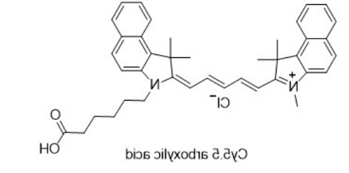 Cy5.5 carboxylic acid