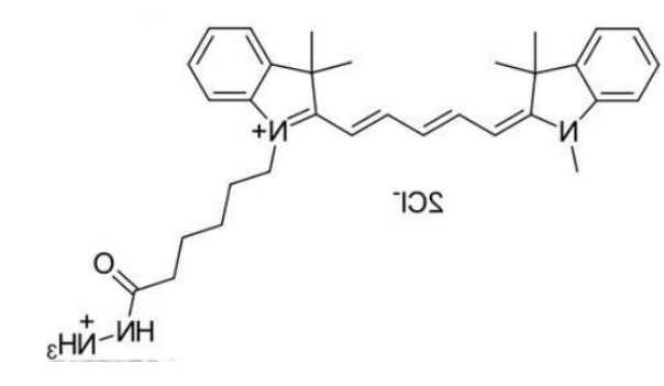 Cy5.5 hydrazide