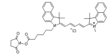 Cy5.5 NHS ester