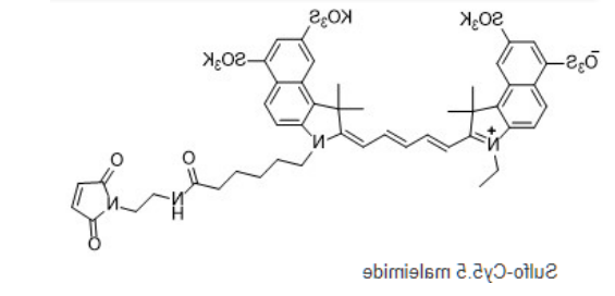 Sulfo-Cy5.5 maleimide