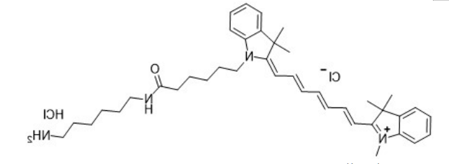 Cy7-amine Cy7-amine