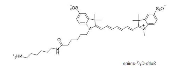 Sulfo-CY7-NH2 Sulfo-CY7-NH2