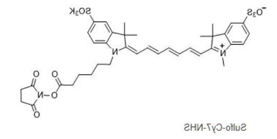 Sulfo-CY7-NHS ester