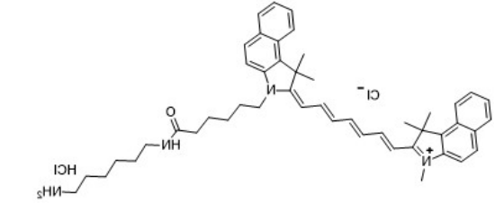 Cy7.5 amine