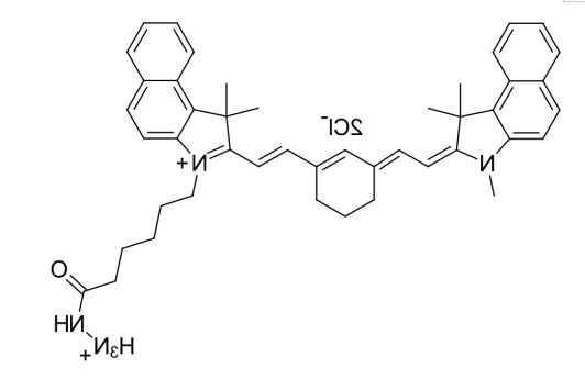 Cy7.5 hydrazide