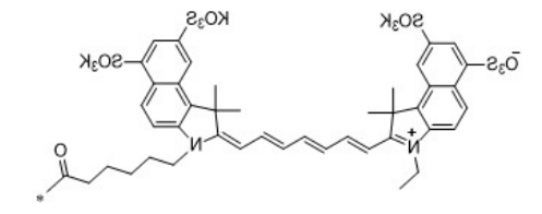 水溶性CY7.5
