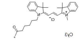 Cy3荧光染料