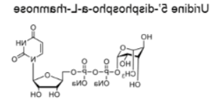 UDP-L-Rha