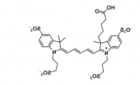荧光染料Alexa Fluor 647 carboxylic acid羧酸，CAS 2090339-69-6