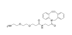 DBCO-NHCO-PEG2-amine DBCO-NHCO-PEG2-amine