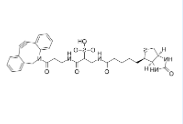 DBCO-Sulfo-Link-biotin