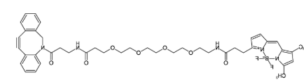  BDP-FL-PEG4-DBCO